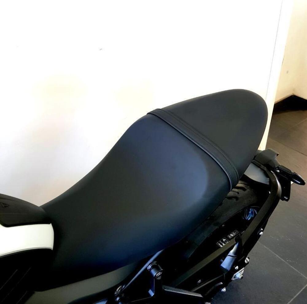 Triumph Trident 660 Triple Tribute Edition (2024) (12)