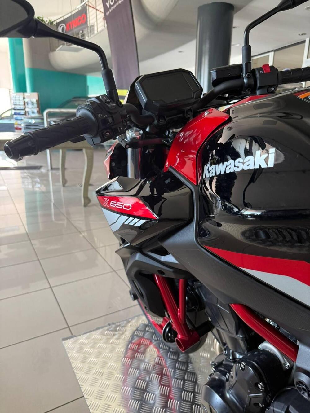 Kawasaki Z 650 (2025 - 26) (6)