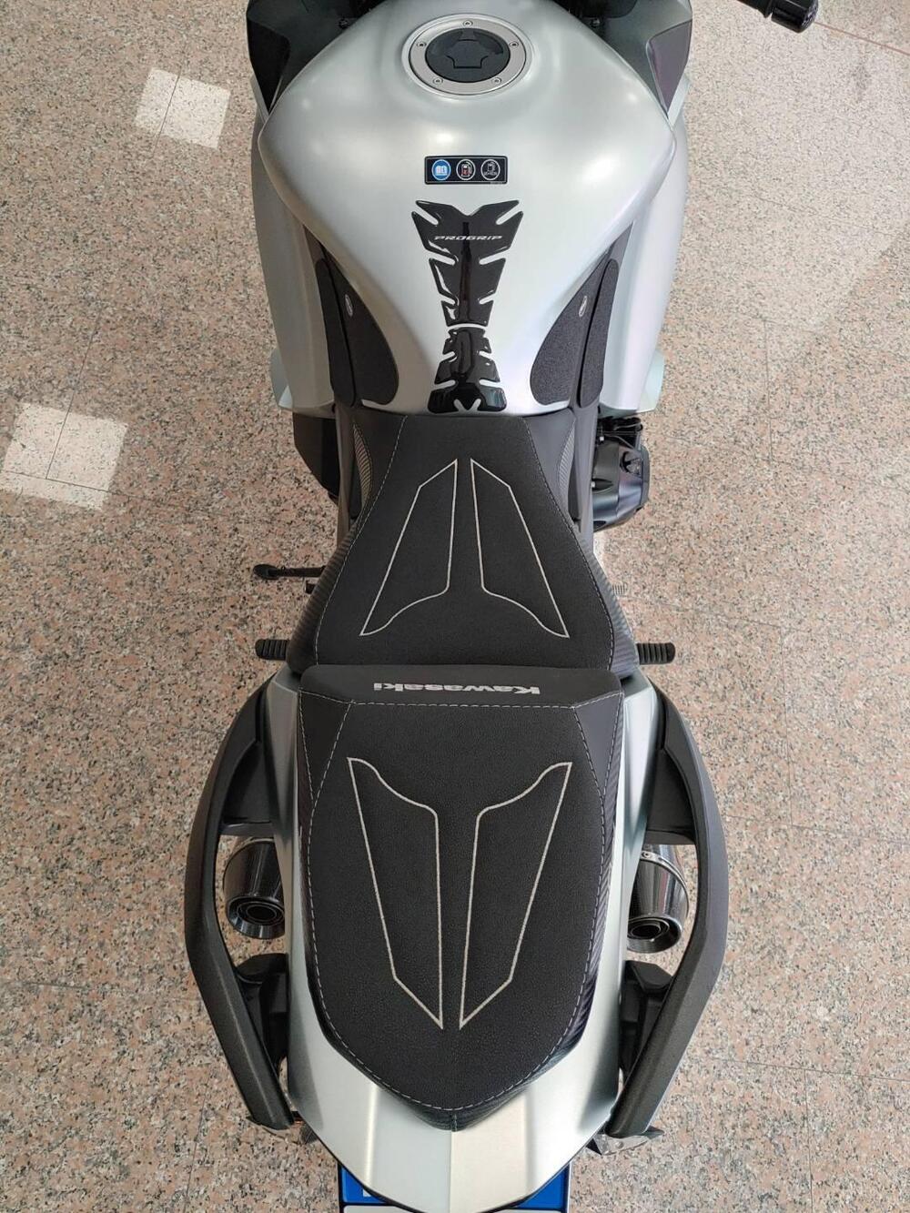 Kawasaki Z 1000 SX (2017 - 20) (7)