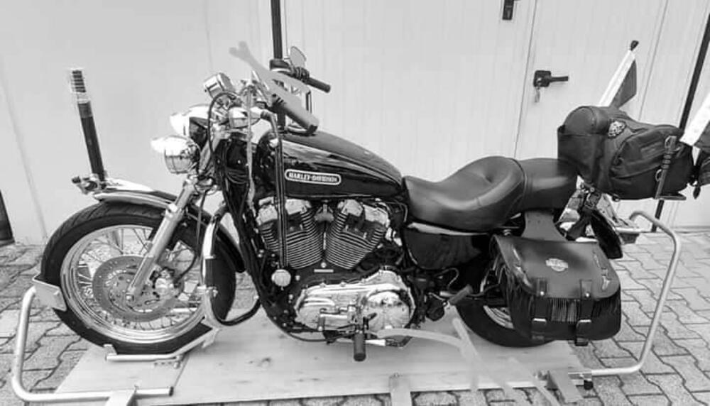 Harley-Davidson 1200 Low (2008 - 09) - XL 1200L (6)