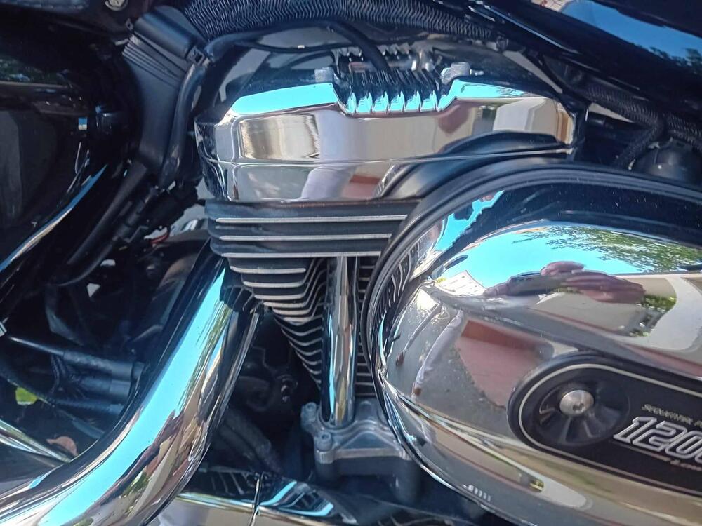 Harley-Davidson 1200 Low (2008 - 09) - XL 1200L (9)