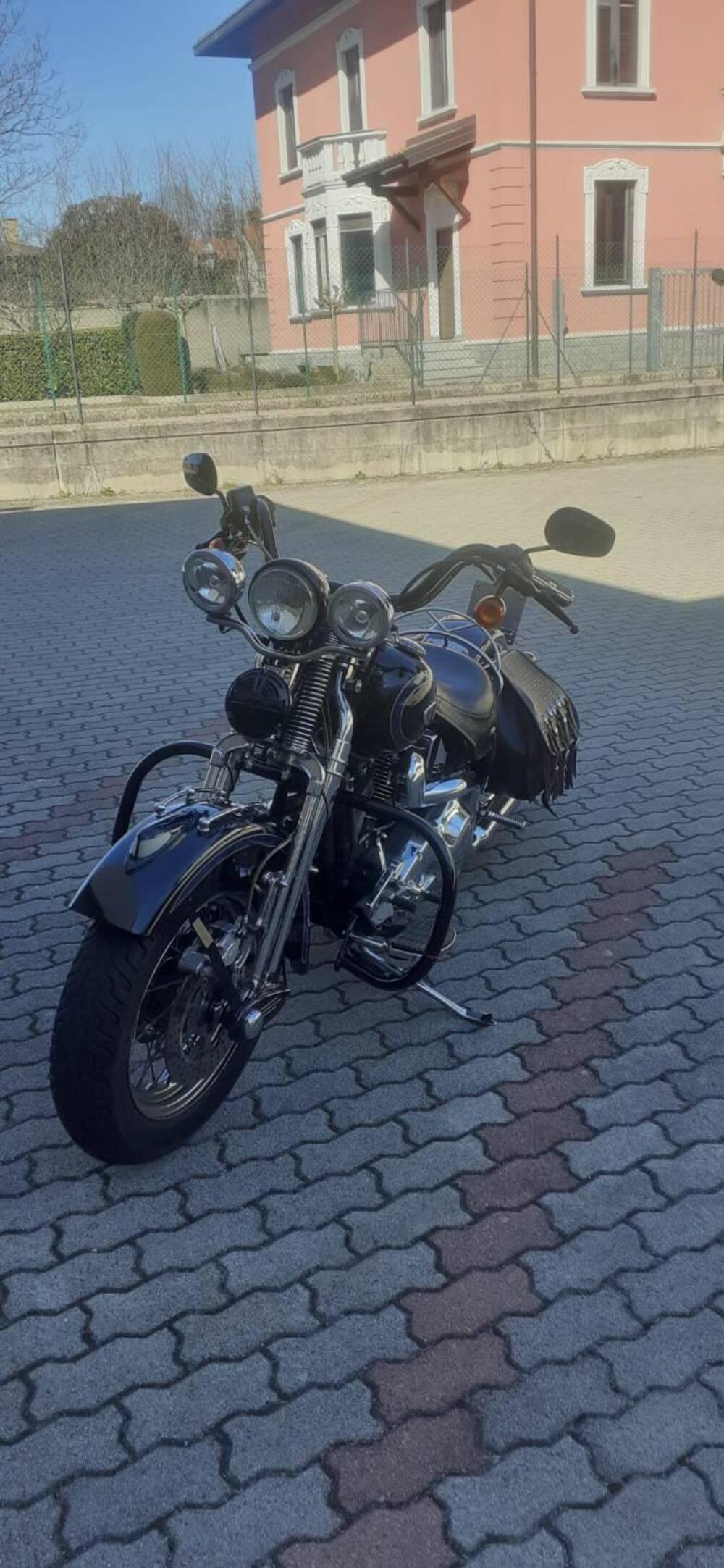 Harley-Davidson Eritage springer  (5)