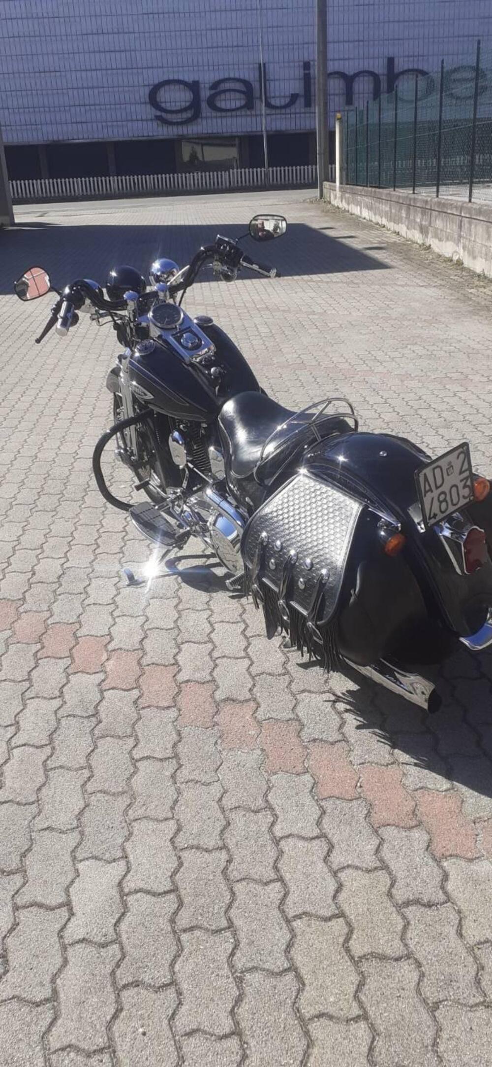 Harley-Davidson Eritage springer  (6)