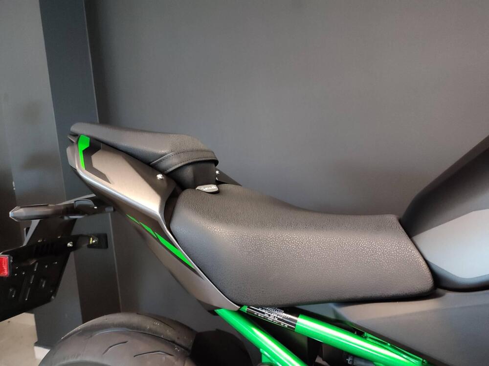 Kawasaki Z 900 (2025 - 26) (7)