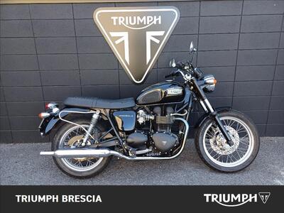 Triumph Bonneville 800 (2002 - 07) usata