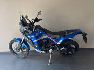 Yamaha T&eacute;n&eacute;r&eacute; 700 World Rally (2023 - 25) usata