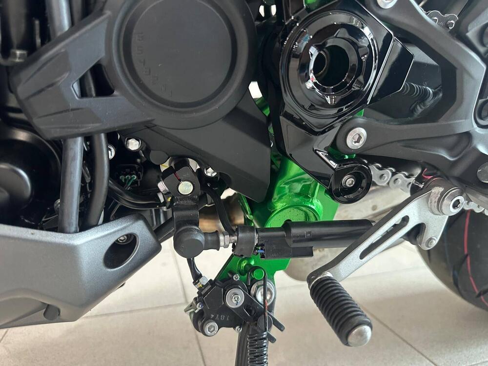 Kawasaki Z 900 (2021 - 24) (6)