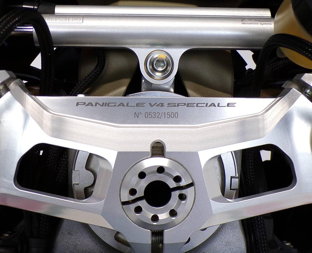 Ducati Panigale V4 Speciale 1100 (2018 - 19) (7)