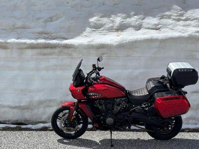 Harley-Davidson Pan America 1250 (2020 - 25) usata