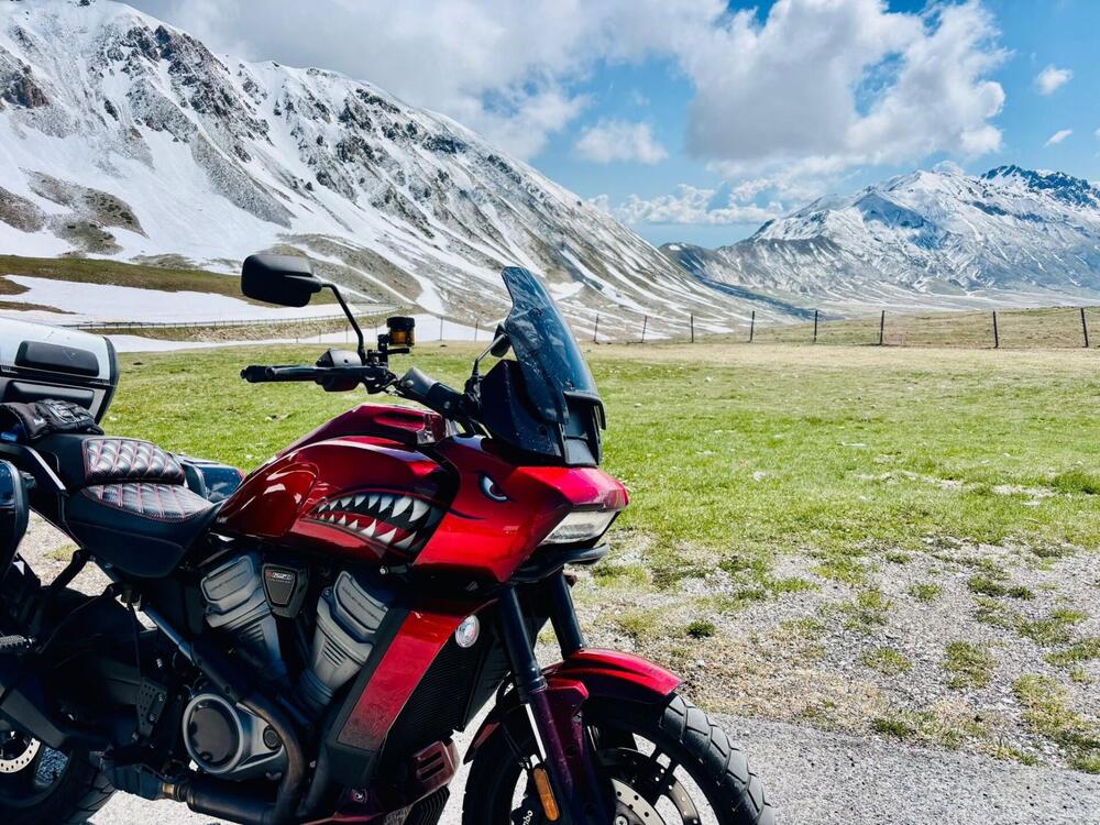 Harley-Davidson Pan America 1250 (2020 - 25) (2)