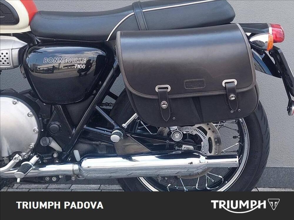 Triumph Bonneville T100 (2017 - 20) (13)