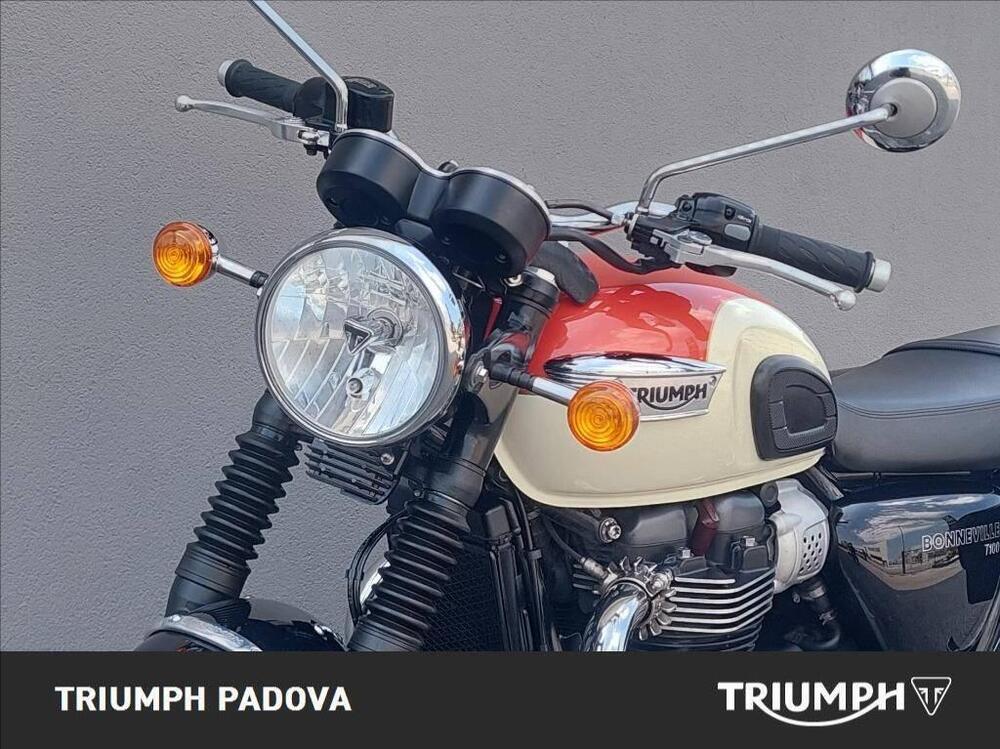 Triumph Bonneville T100 (2017 - 20) (19)