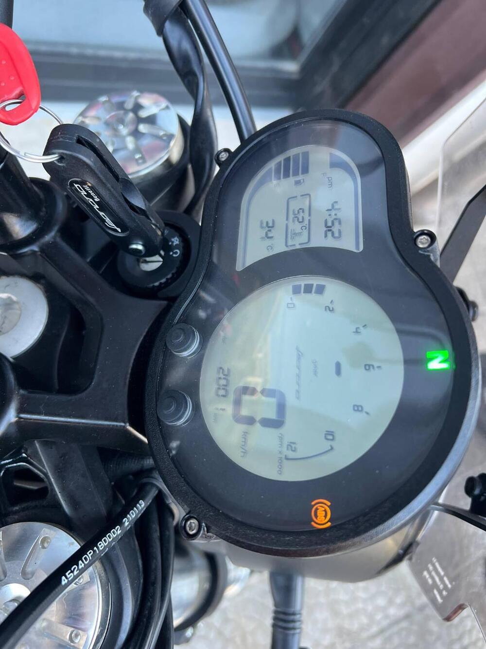 Benelli Leoncino 500 Trail (2021 - 25) (4)