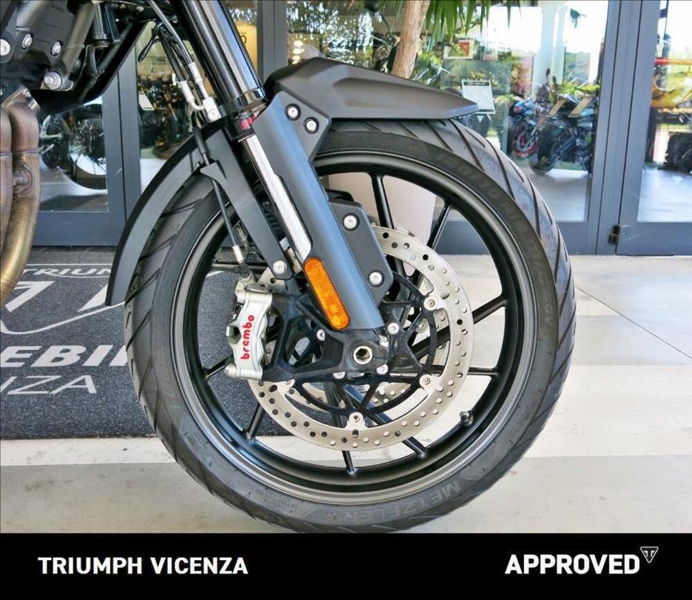 Triumph Tiger 1200 GT Pro (2022 - 23) (4)