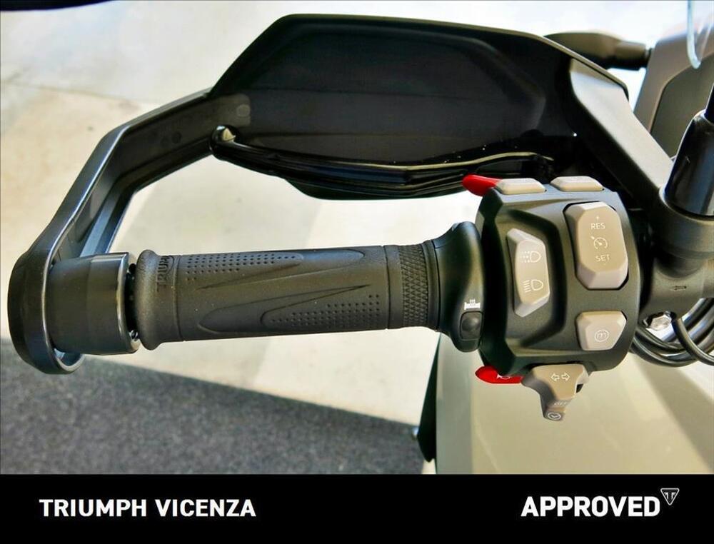 Triumph Tiger 1200 GT Pro (2022 - 23) (10)