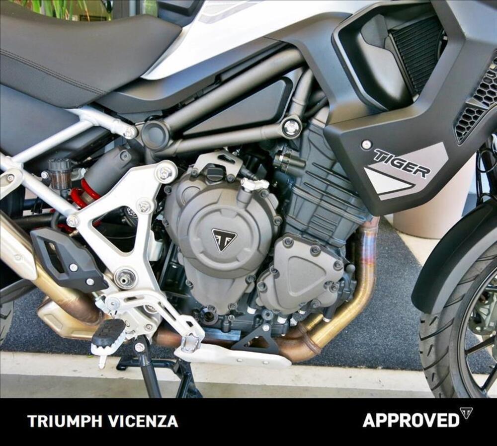 Triumph Tiger 1200 GT Pro (2022 - 23) (7)