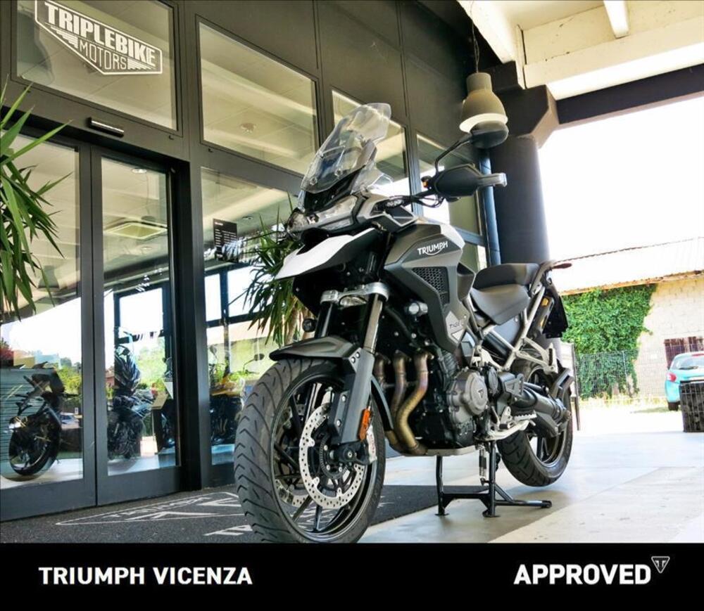 Triumph Tiger 1200 GT Pro (2022 - 23) (13)