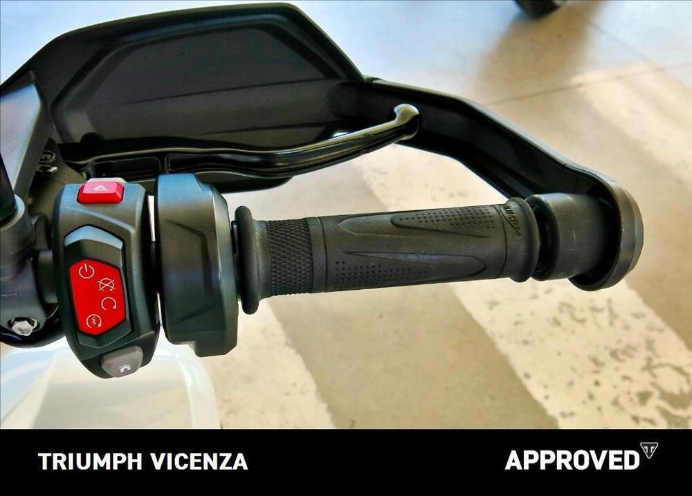 Triumph Tiger 1200 GT Pro (2022 - 23) (11)