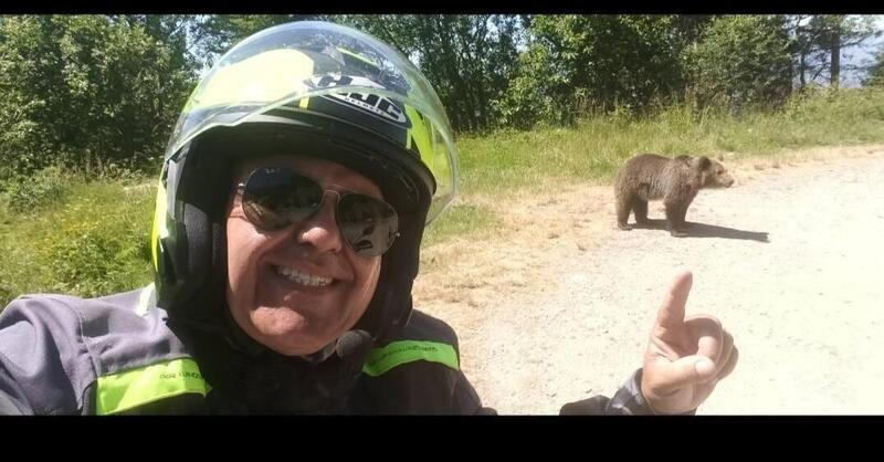 Si ferma a fotografare un orso, ma l&#039;animale reagisce e lo uccide