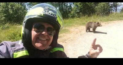 Si ferma a fotografare un orso, ma l&#039;animale reagisce e lo uccide