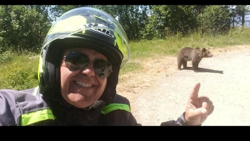 Si ferma a fotografare un orso, ma l&#039;animale reagisce e lo uccide