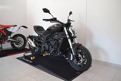 Benelli 502 C (2021 - 25) usata