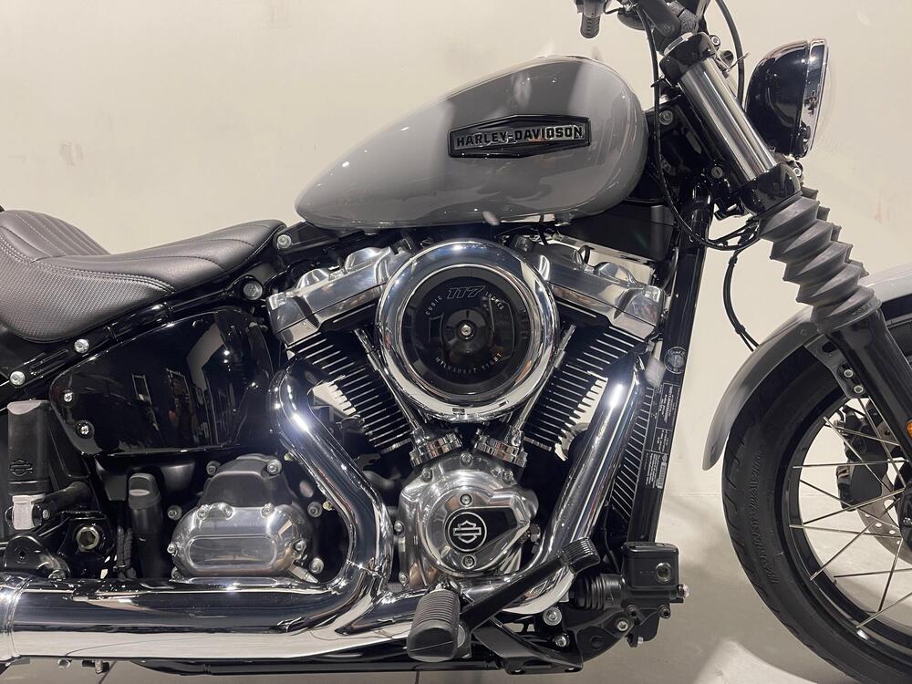 Harley-Davidson Street Bob 117 (2025) (3)