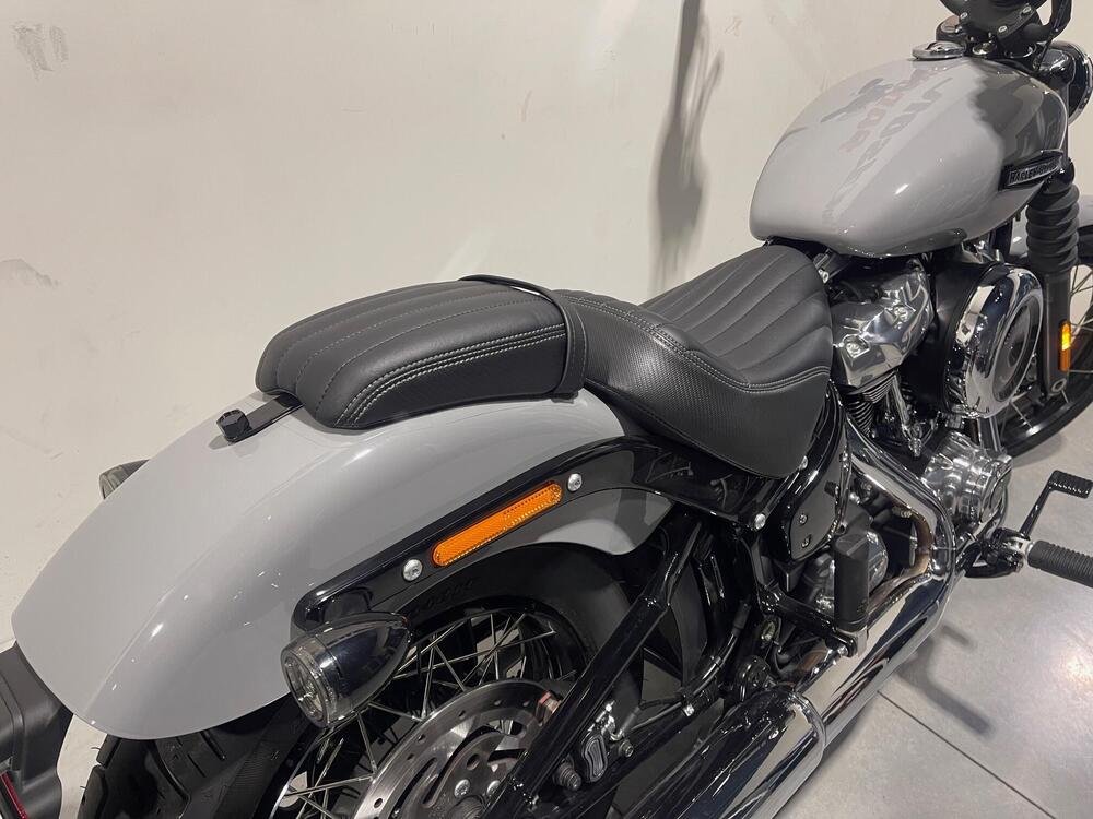 Harley-Davidson Street Bob 117 (2025) (5)