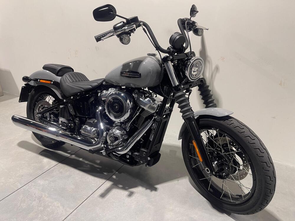 Harley-Davidson Street Bob 117 (2025) (2)