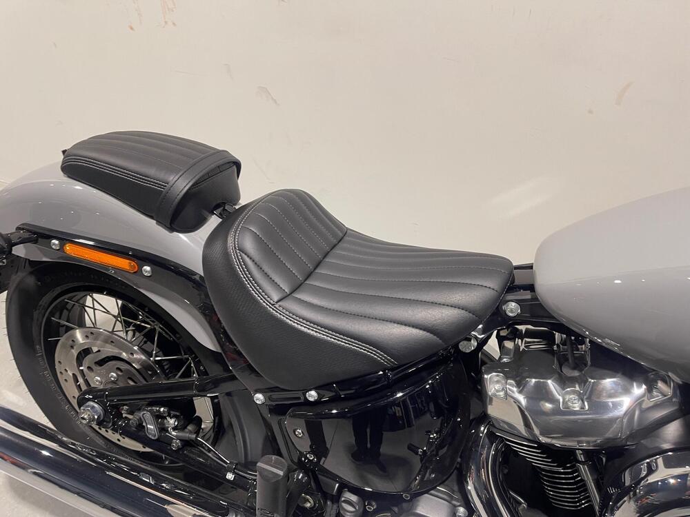 Harley-Davidson Street Bob 117 (2025) (6)