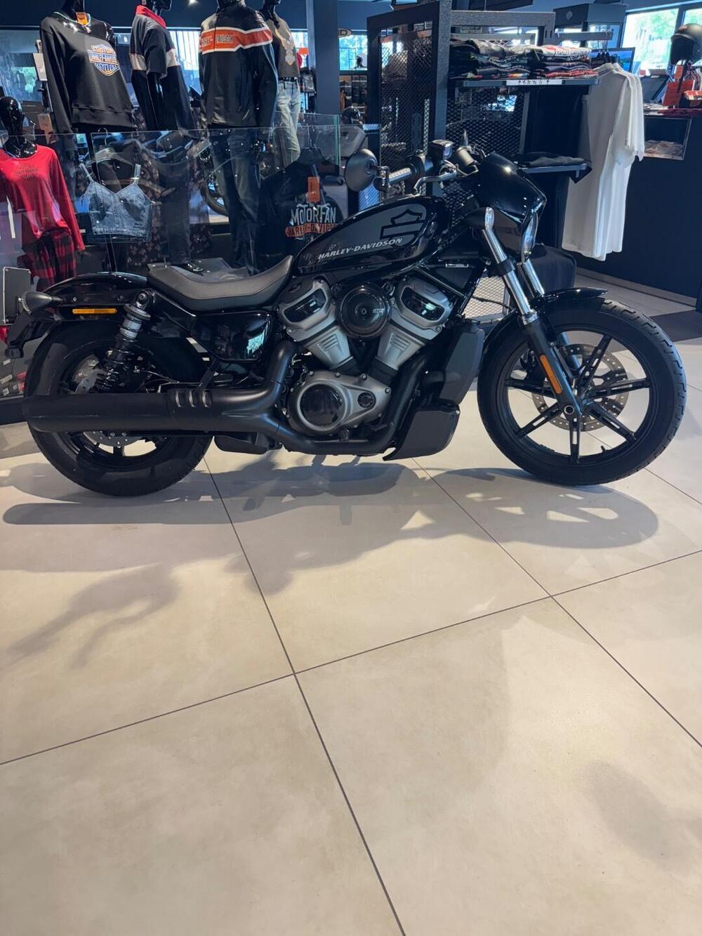 Harley-Davidson Nightster (2023 - 25) (2)