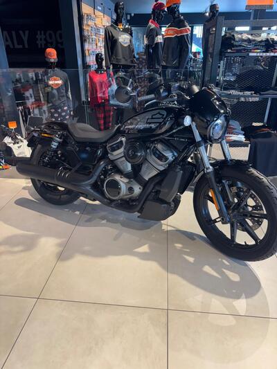 Harley-Davidson Nightster (2023 - 25) usata