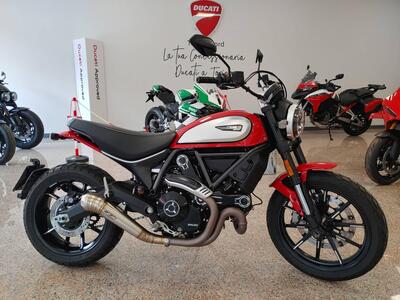 Ducati Scrambler 800 Icon (2021 - 22) usata