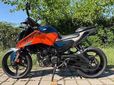 KTM 125 Duke (2024 - 26) usata