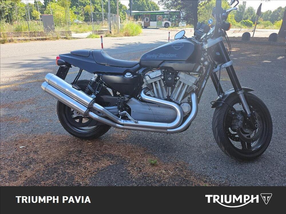 Harley-Davidson 1200 XR (2009 - 12) (5)