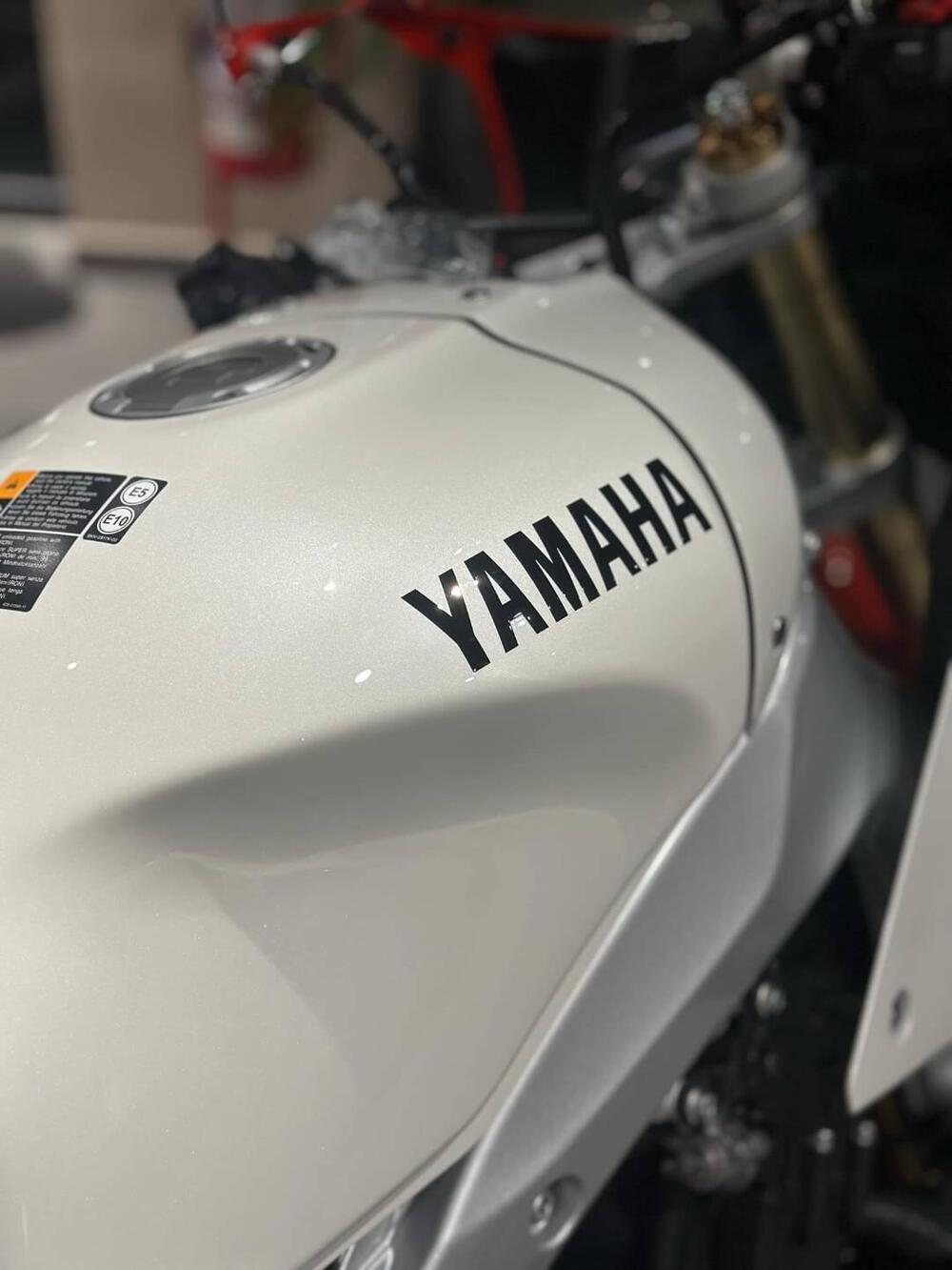 Yamaha XSR 900 GP (2024 - 26) (14)