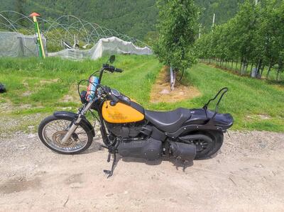 Harley-Davidson 1584 Night Train (2006 - 07) - FXSTB usata