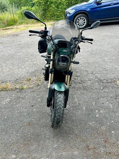 Benelli Leoncino 800 (2022 - 25) usata
