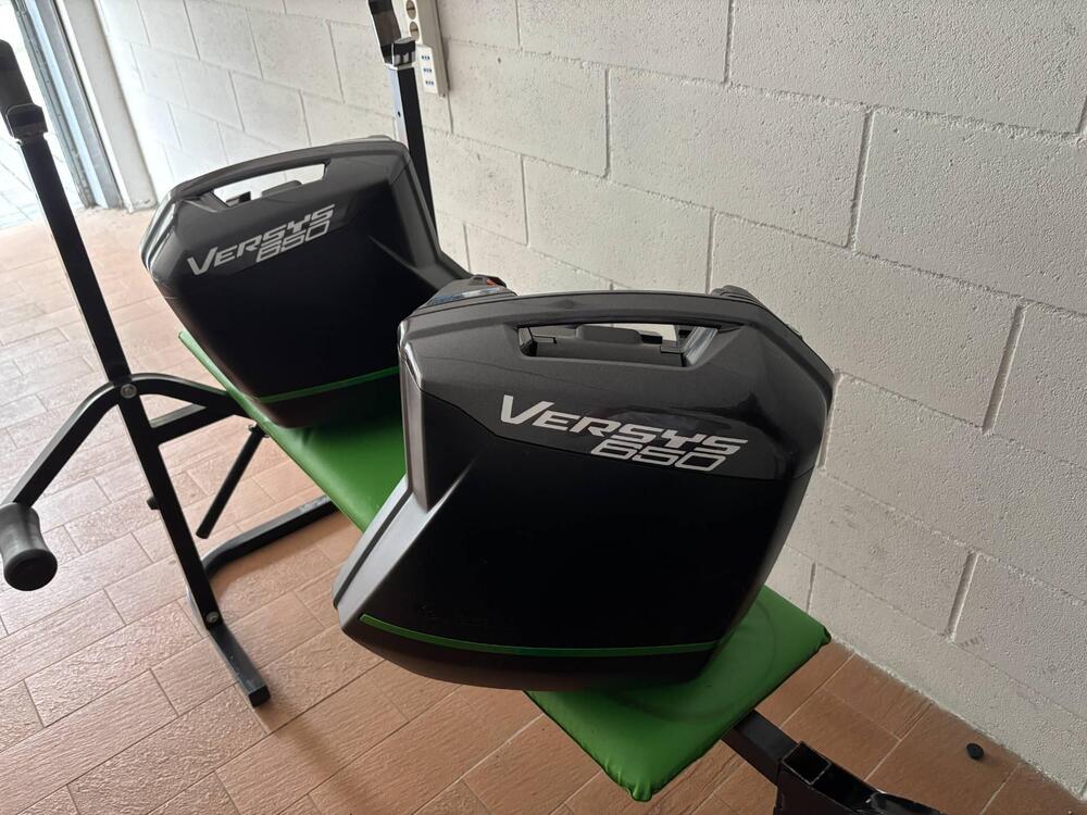 Kawasaki Versys 650 ABS (2015 - 16) (16)