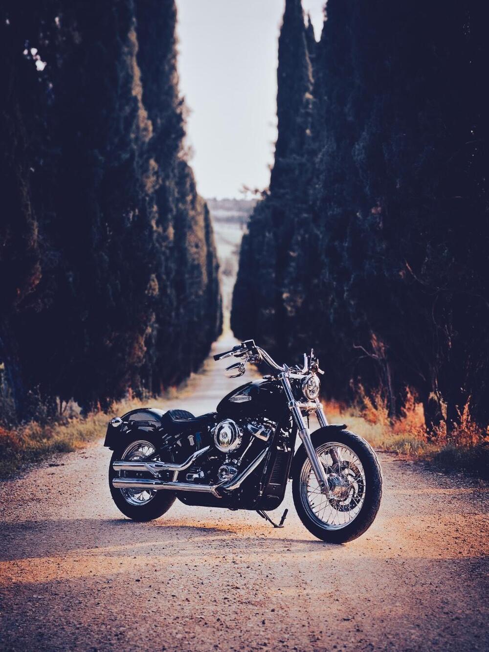 Harley-Davidson Softail Standard (2020) - FXST (2)