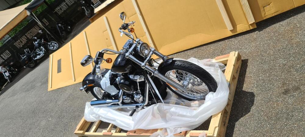 Harley-Davidson Softail Standard (2020) - FXST (11)