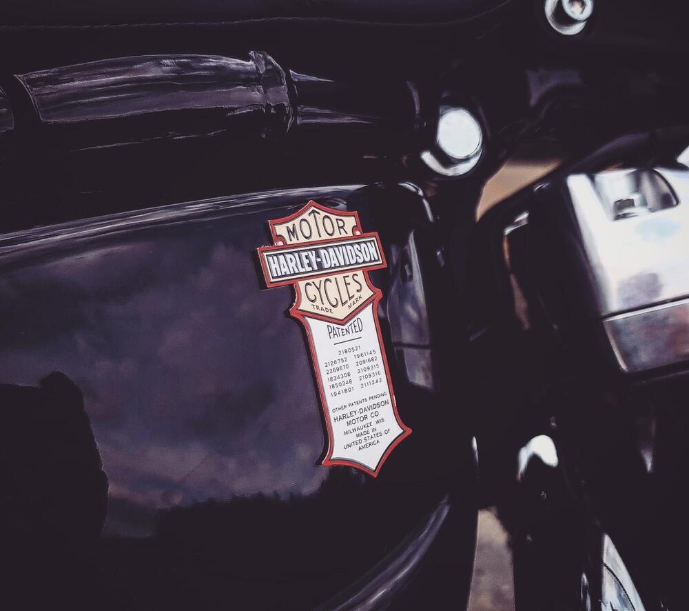 Harley-Davidson Softail Standard (2020) - FXST (6)