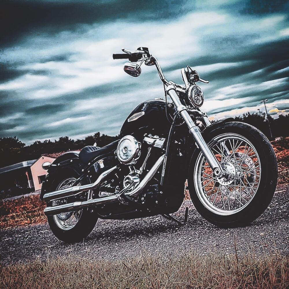 Harley-Davidson Softail Standard (2020) - FXST