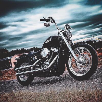 Harley-Davidson Softail Standard (2020) - FXST usata