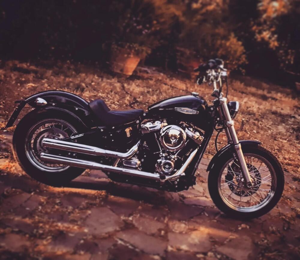 Harley-Davidson Softail Standard (2020) - FXST (8)