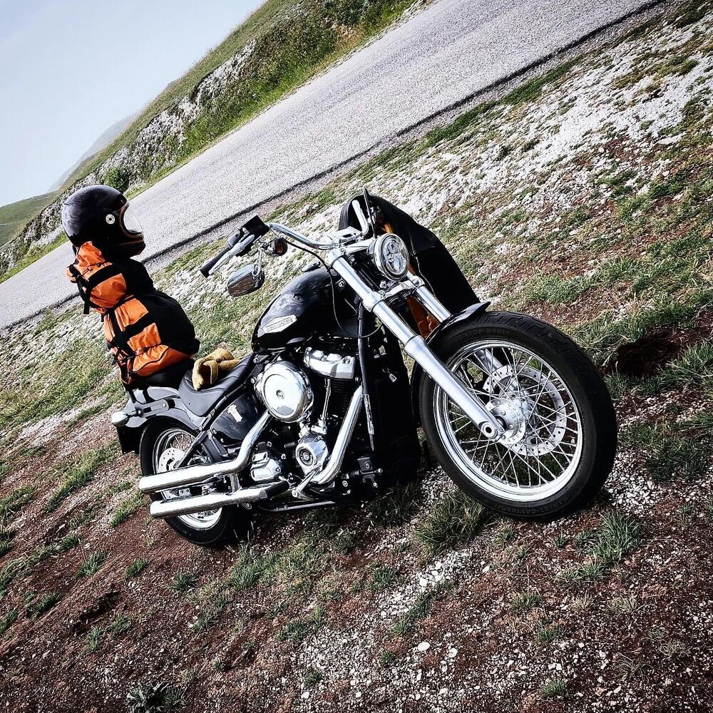 Harley-Davidson Softail Standard (2020) - FXST (9)