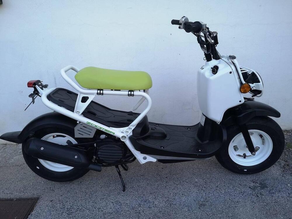 Honda Zoomer (3)
