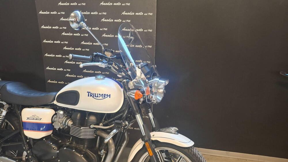 Triumph Bonneville SE (2009 - 13) (3)