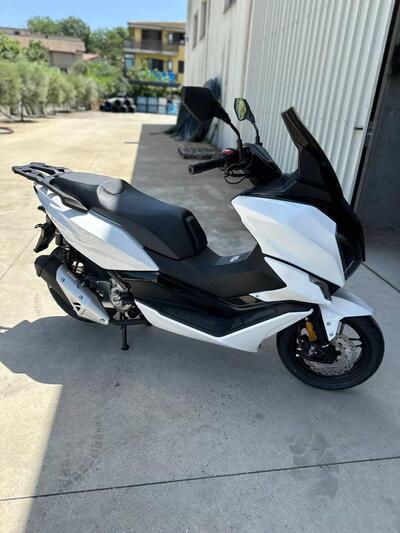 Morbidelli SC300 (2024 - 25) nuova