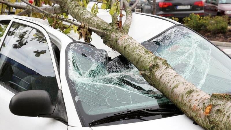 Chi paga se un&#039;albero mi cade sull&#039;auto? Assicurazione o il comune?